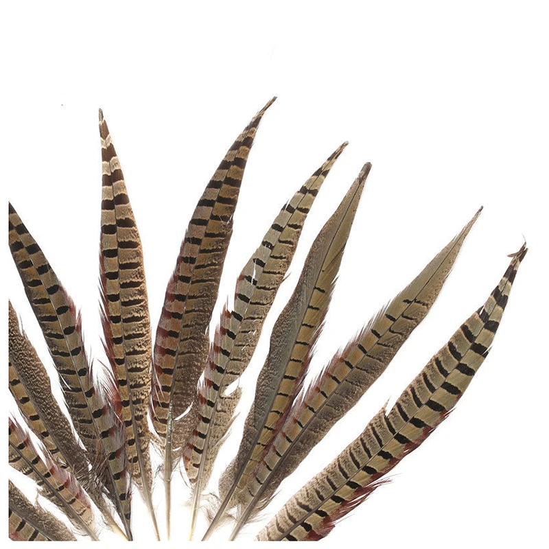 Mayitr 10pcs/set Natural Pheasant Feathers 30-35cm 12 - 14 Inch Amherst Chicken Tail Feathers For Costume DIY New Arrival