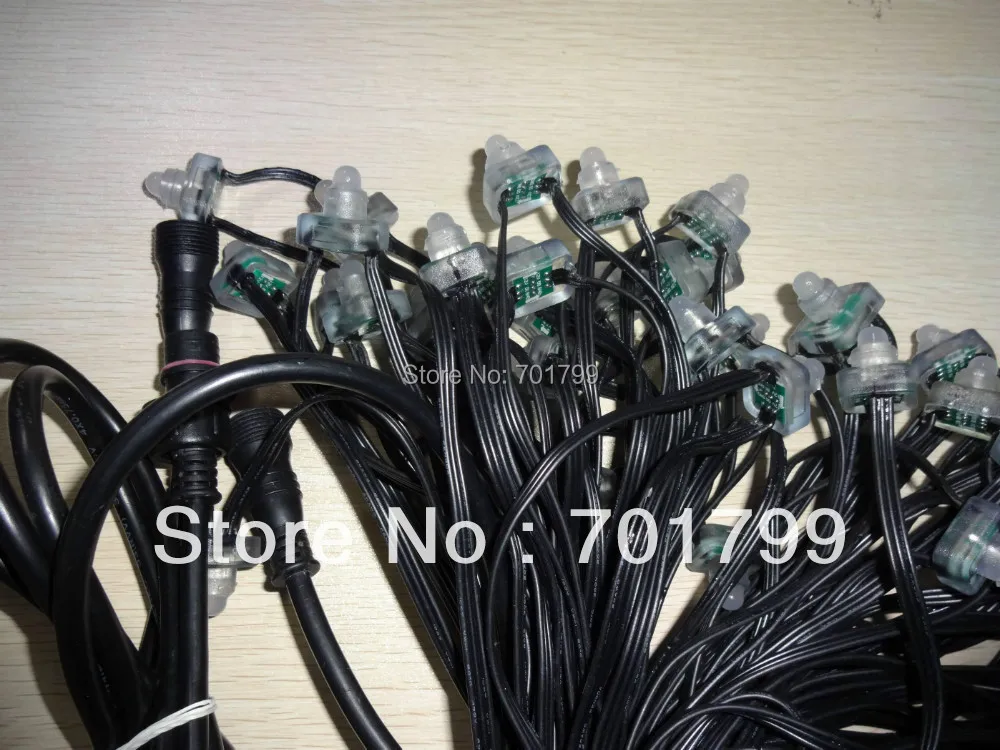 

100pcs DC12V input IP68 WS2811 LED pixel light,all black wire,with Sandevices controller's standard cable