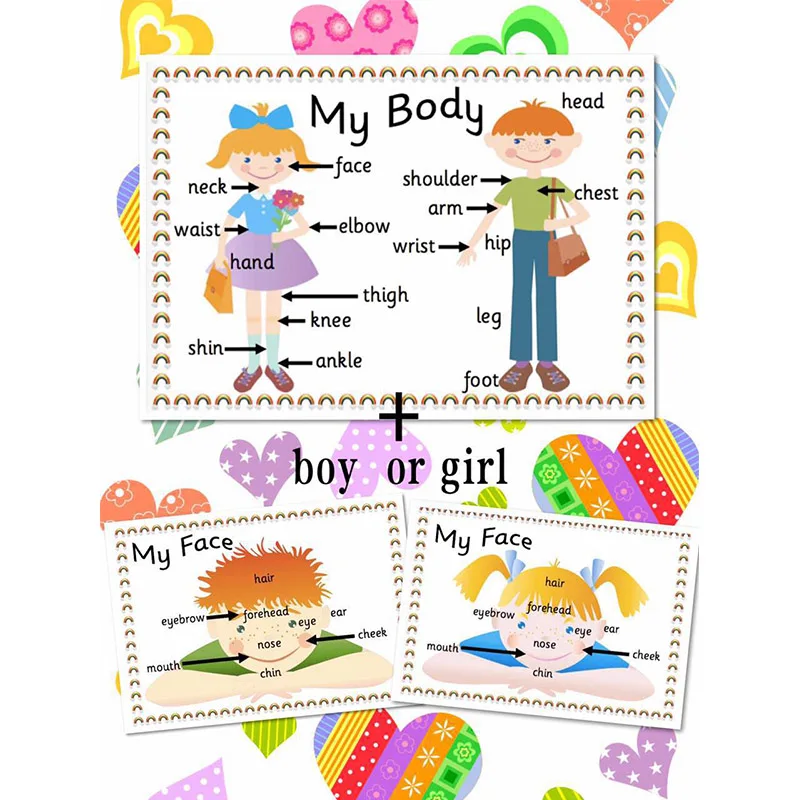 2pcs Body Parts English Flash Cards A4 Posters Learning Educational Toys For Children Kids Games Montessori Classroom Decoration Buy At The Price Of 2 87 In Aliexpress Com Imall Com