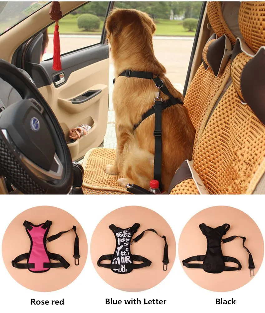 seat belts (2)