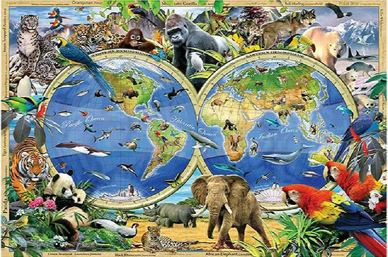 REALSHINING-DIY-5D-Diamond-Mosaic-Diamond-Painting-Cross-Stitch-Animals-World-Map-Diamonds-Embroidery-Square-Home.jpg_640x640