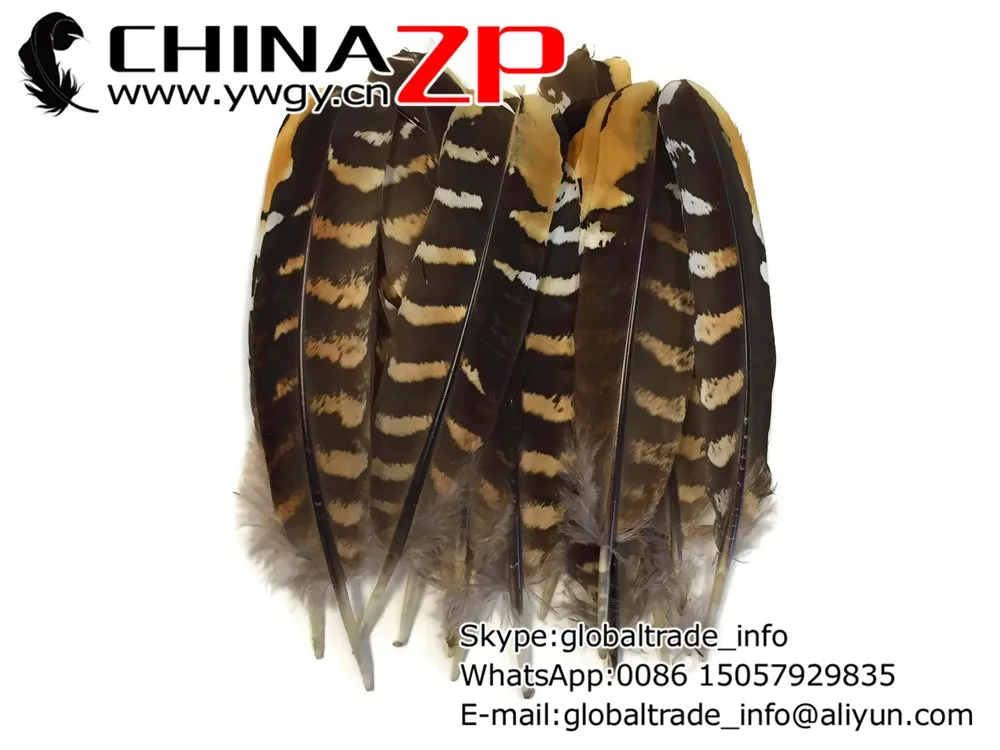 Pheasant Feathers, 5 Pieces - 6-8 NATURAL Reeves Venery Pheasant Wing Feathers 2