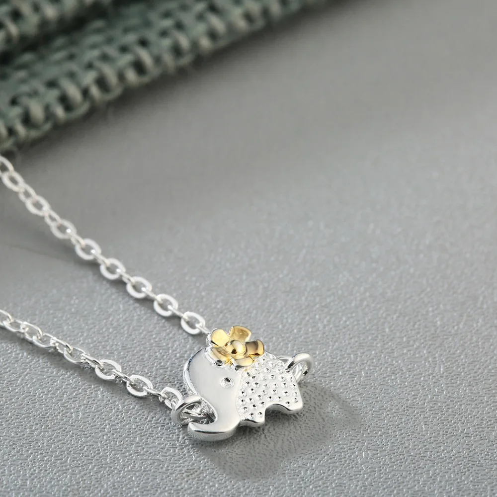 4352228442_143671530