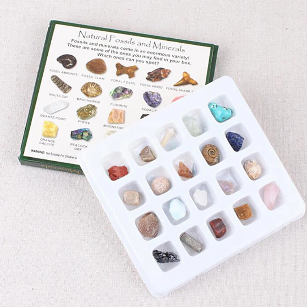 Rock & Mineral Collection GN201 Geology Science Kit Earth Science Toy - Pack Of 20