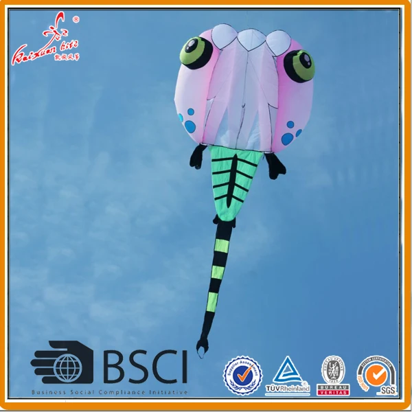 30 кв. м. головастический воздушный змей мягкий фотовспышка|tadpole kite|soft kiteshow kite |