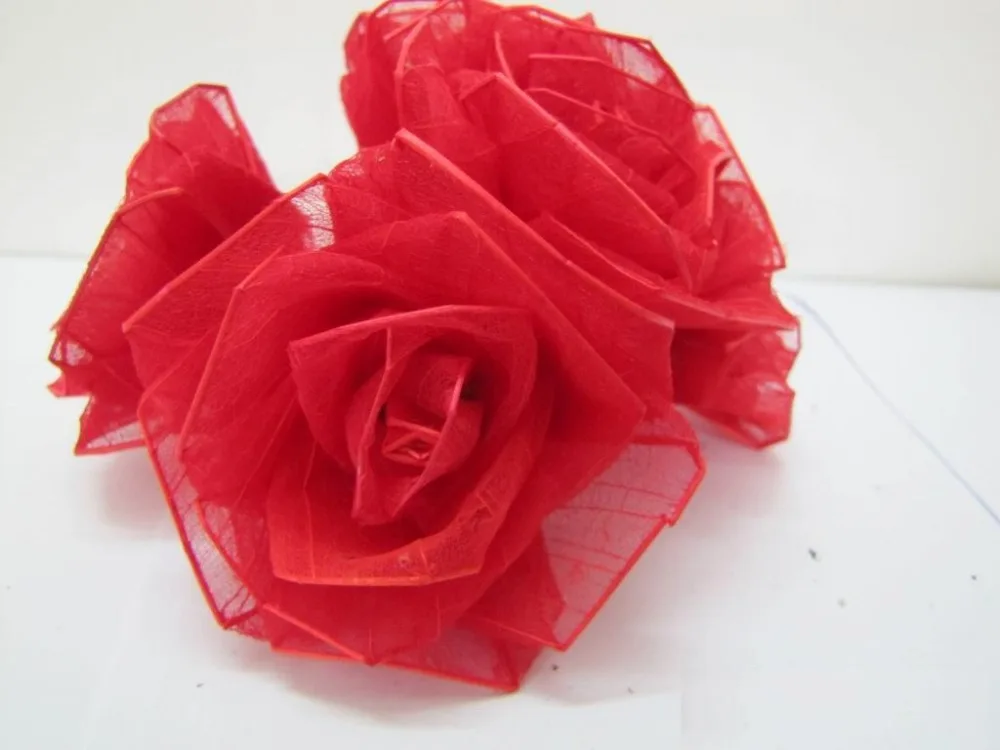 Rose Flower