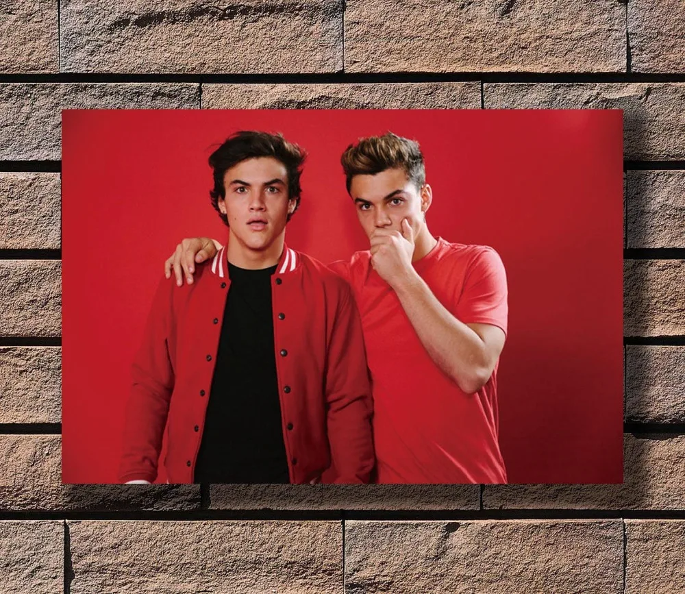 Silk Poster Dolan Twins Wall Decor Custom
