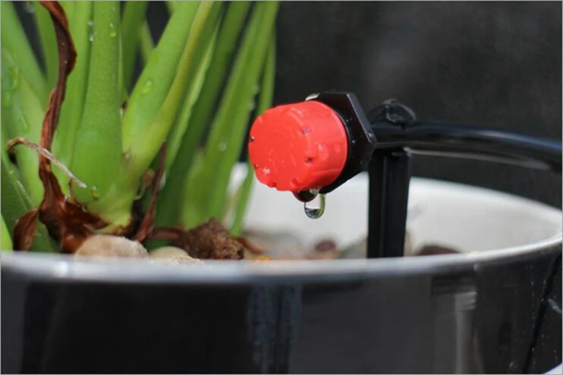 HTB1EFk3QFXXXXXNaXXXq6xXFXXXD - 