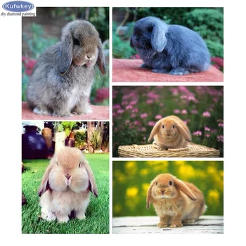 

Full Square Diamond Embroidery "English Lop"DIY Diamond Painting Cross Stitch Kits Rabbit 5D Diamond Mosaic sticker Home Decor
