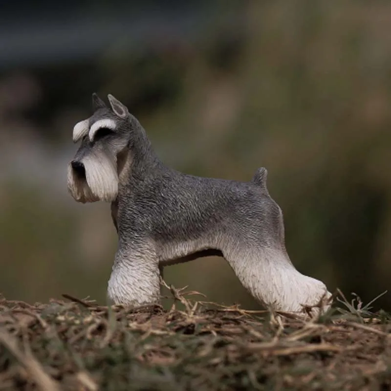 Mnotht 1/6 Миниатюрная модель Schnauzer для домашних животных MRZ019 моделирование резная