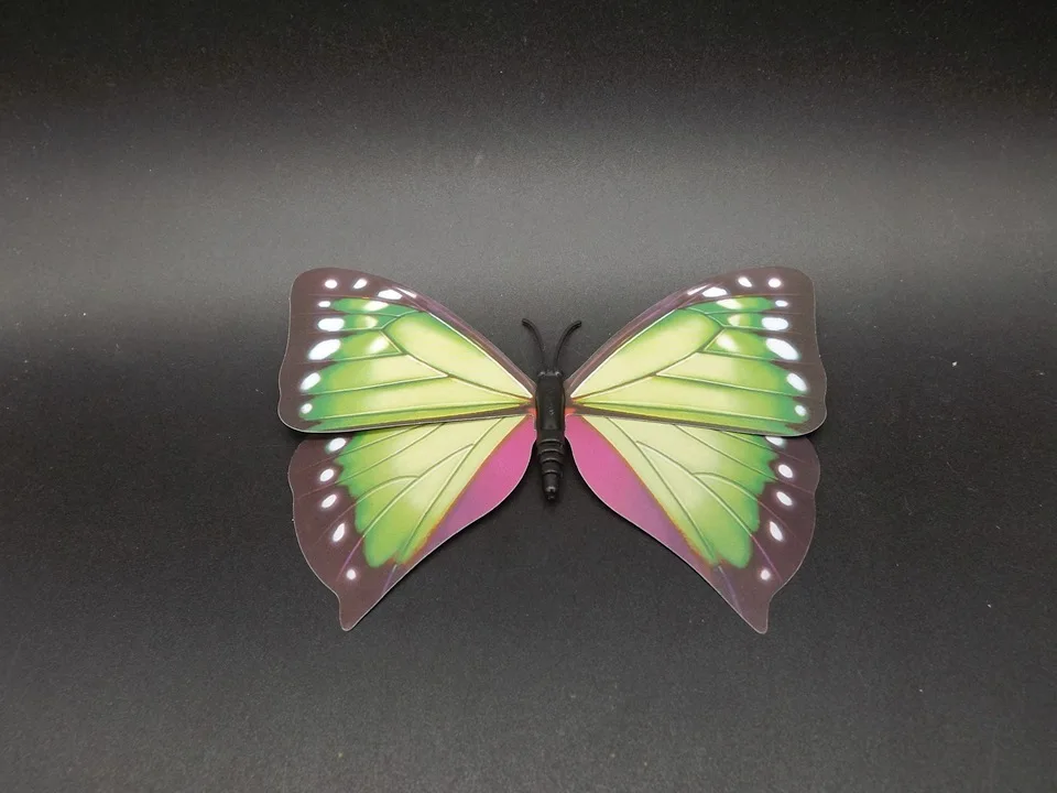 I238-Butterfly (5)