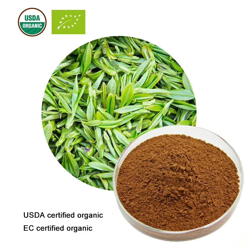 

USDA and EC Certified organic green tea extract 20:1 tea polyphenols green tea extract 20:1