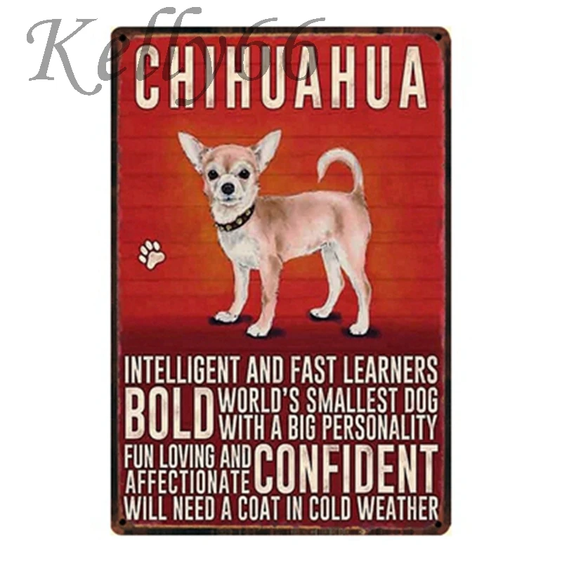 

[ Kelly66 ] CHIHUAHUA Tin Sign Pet Store decor 20*30 CM Size y-1166