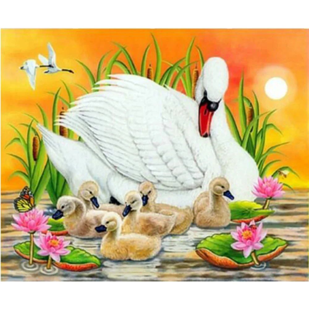 Unduh 5600 Gambar Fauna Angsa Paling Baru 