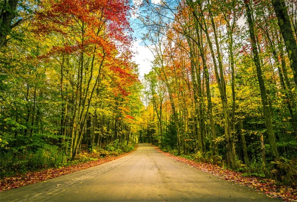 

Laeacco Autume Fallen Leaves Tree Way Yellow Scenic Photographic Backgrounds Customized Photography Backdrops For Photo Studio