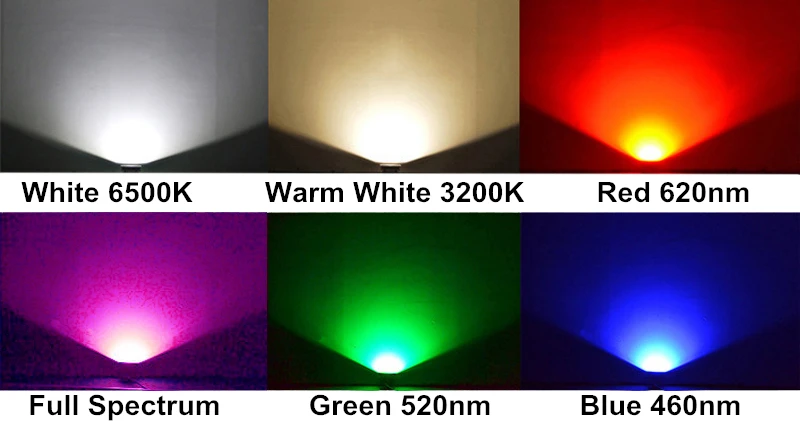 2686017369_174815125