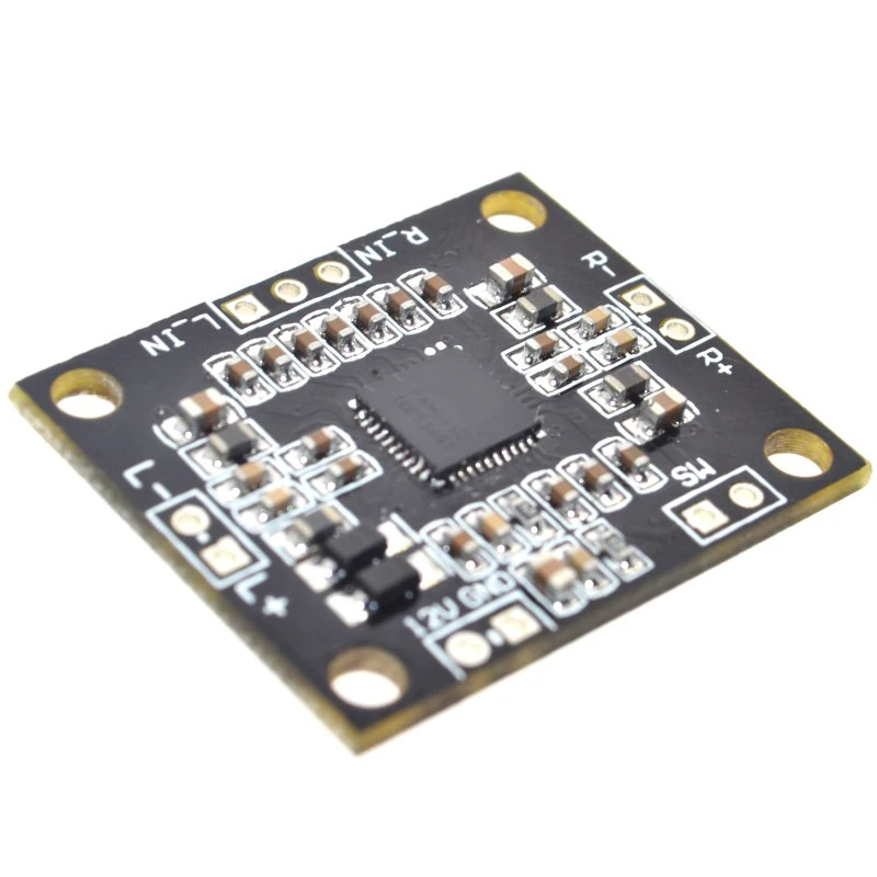 pam8610 board (3)