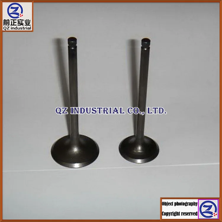 

Free shipping new and original for SUZUKI motorcycle engine parts QS200 GS200 DR200 GXT200 QM200GY intake and exhaust valves