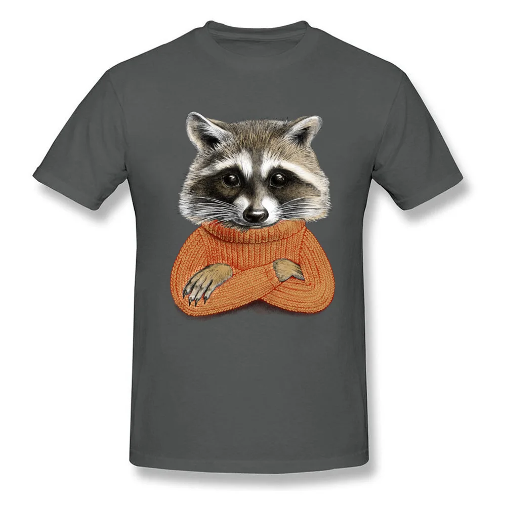 Normal Short Sleeve Tops Shirt Summer/Fall O-Neck 100% Cotton Men Tshirts Raccoon in winter sweater Normal Tee Shirts Fashion Raccoon in winter sweater carbon
