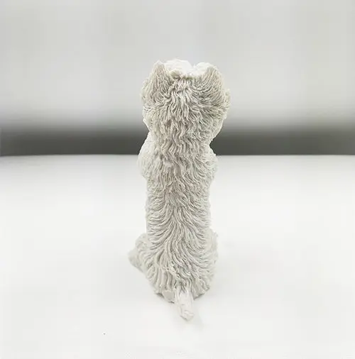 poodle dog