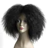 Perruque synthétique frisée frisée Afro courte naturelle de WTB pour des perruques de Fiber à hautes températures de femmes 3