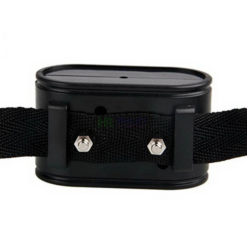 Electronic Fence Receiver Collar para Pet, In-Ground