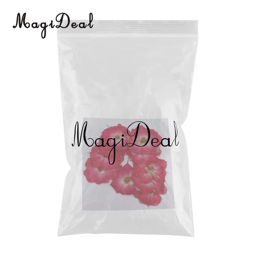 MagiDeal 10 Pcs Multiple Beautiful Natural Real Rose Violet Dried Pressed Flowers for DIY Scrapbooking Crafts Red for Phone Case