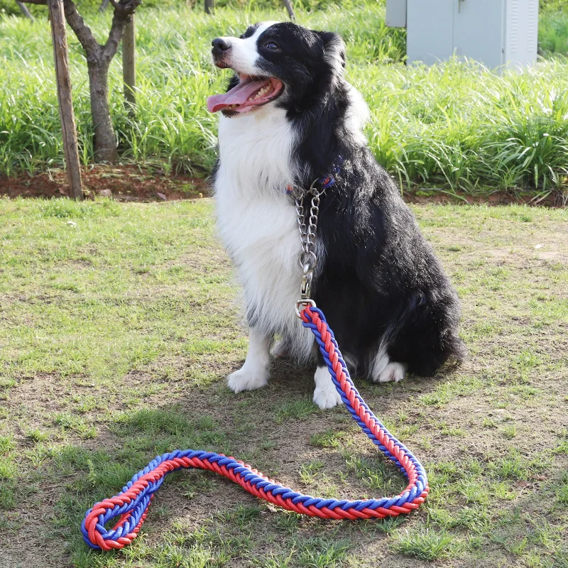 

Pet Dog Leash Nylon Rainbow Harness and Leash For Medium And Large Dogs Long Walking Training Durable Nylon Rope Leashes