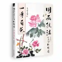 Livre de peinture traditionnelle chinoise, 128 pages, 28,5x21CM, livre d'apprentissage des compétences en peinture chinoise 