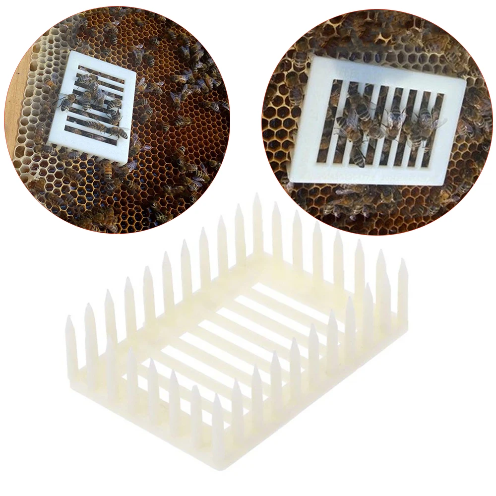 

5PCS bee queen cages tools king cage cells room rearing cell plastic rectangle tool supplier equipment apiculture beekeeping