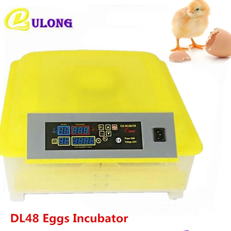 Commercial Digital Bird Egg Incubator Mini Auto Hatchery Chicken