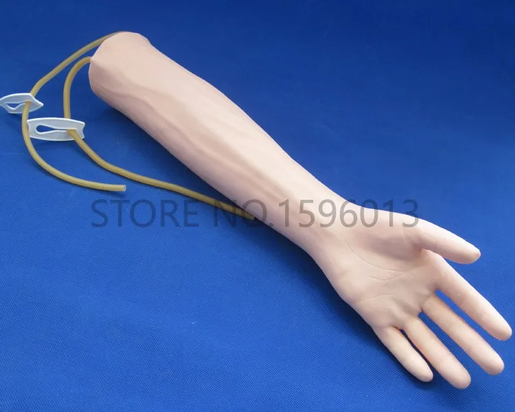 S IV Arm Model (2)