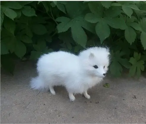  WYZHY Five colors optional Simulation fur animal fox Crafts Garden home decoration teaching props16 - 32957000475