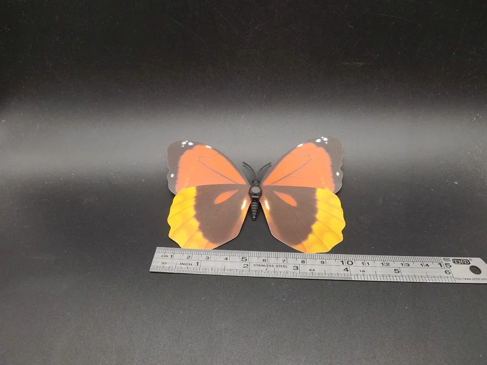 I227-Butterfly (12)