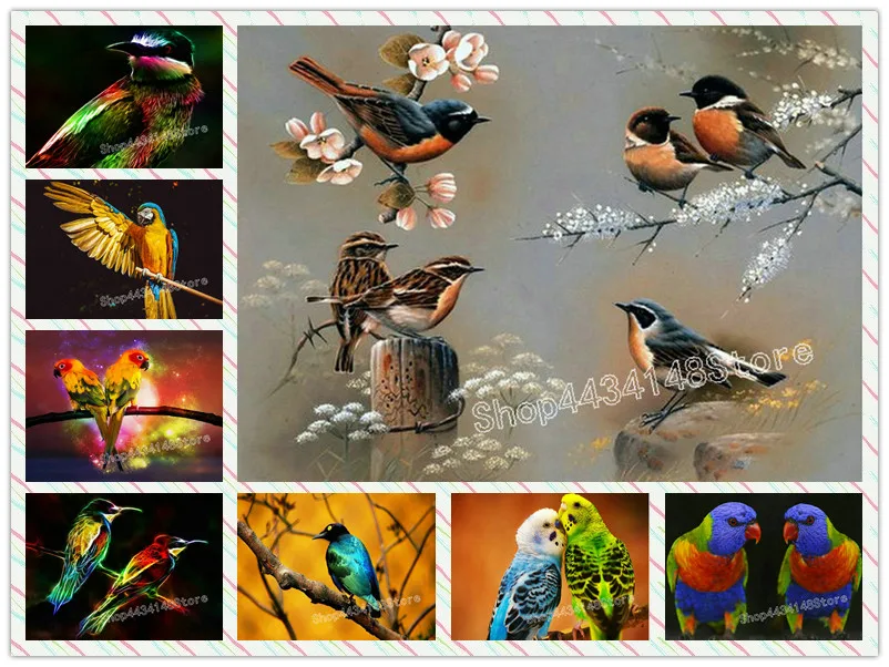 

New Full square / round drill 25 style bird sparrow diamond painting diy 3d diamond embroidery mosaic bird