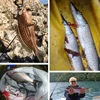 Goture 5pcs/lot Soft Lure 8.5cm 13g Wobblers Silicone Bait Fishing Lures Sea Bass Carp Fishing Wobblers Jig Lead Fish Lures ► Photo 2/6