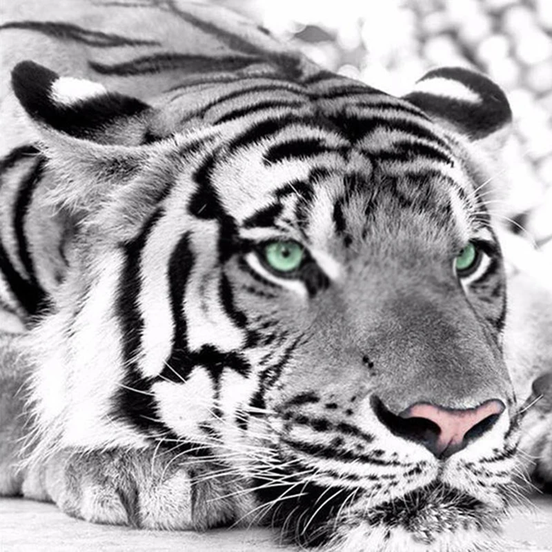 Tiger%20Eyes%20Painting