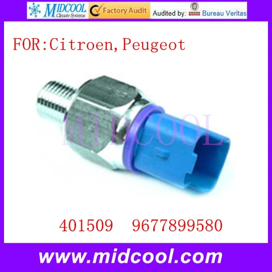 9677899580 citroen peugeot