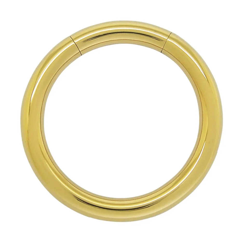 3mm x 19mm PVD Gold Coated Surgical Steel Segment Hoop Ring Body