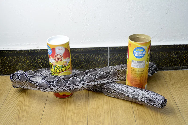 New toy fun Gag Toys antistress prank Scared shocker squishy toys Potato Chip Bounce Snake for April Fools' Day Gift kids toys9
