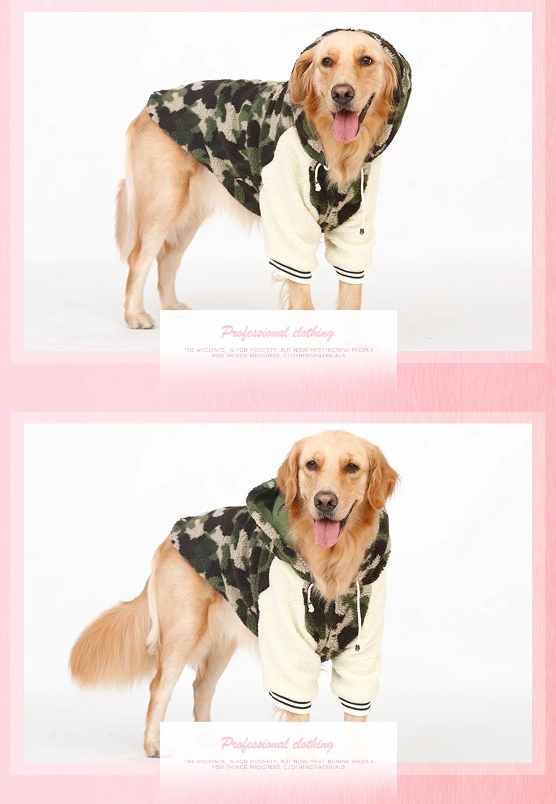 köpek sweatshirt