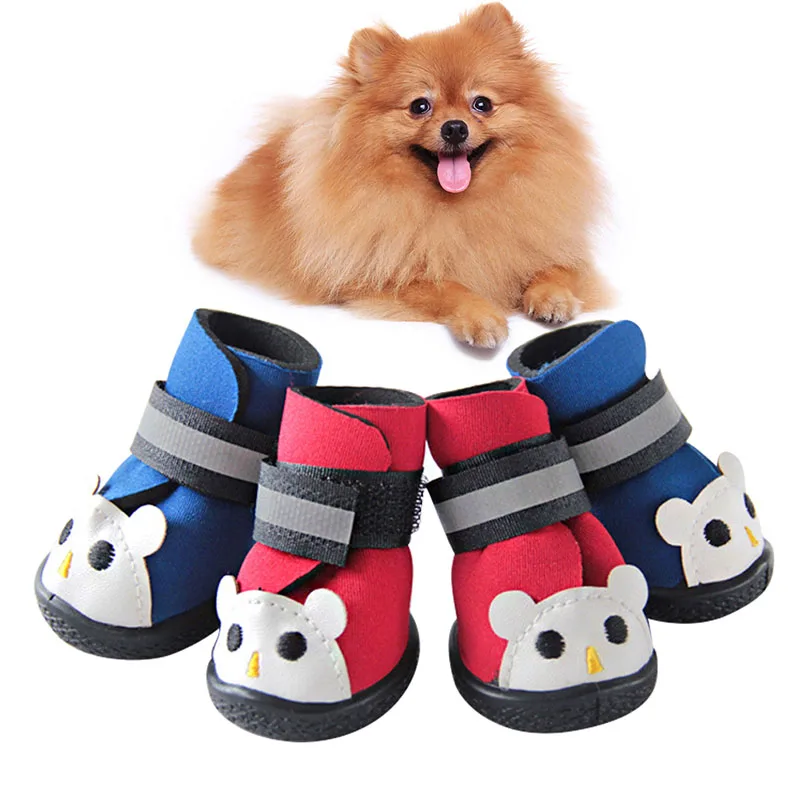 personalized dog shoes