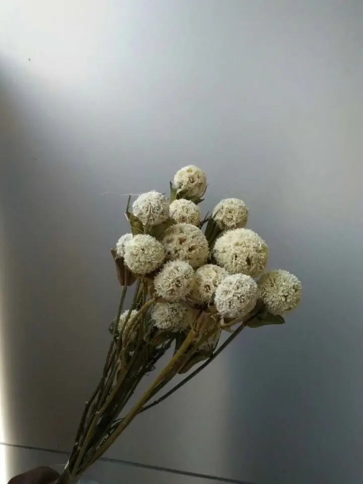 QQ20180408141511