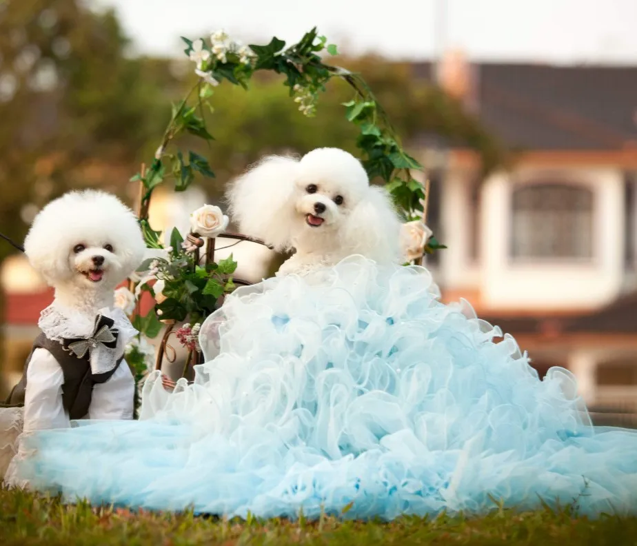 vestido de princesa de luxo filhote de