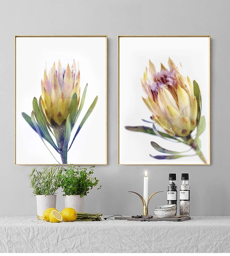 

Australian Native Flower Art Canvas Poster and Print Canvas Painting Decorative Picture for Living Room