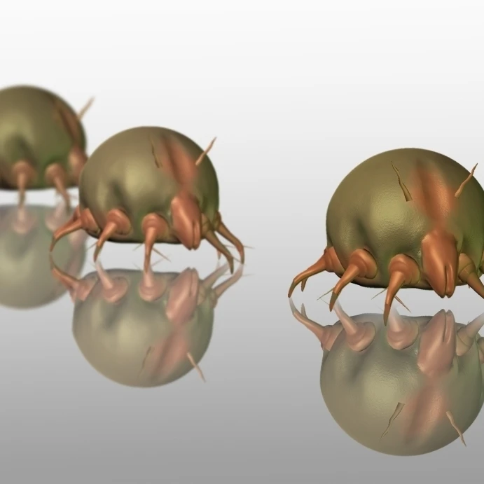 Dust Mites  Illustration Poster Print by Spencer SuttonScience Source (36 x 24)