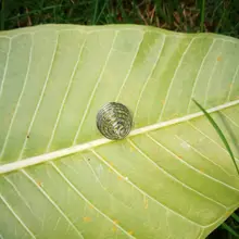 Новые 1,6 см мини Пружинные рыболовные снасти продукты все для рыболовных аксессуаров и стали diy крюк китайские поставщики 100 шт./лот