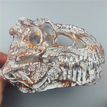 

MRZOOT Resin Dinosaur Skeleton Model Tyrannosaurus Skull Animal Research Teaching Collection Crafts Creative Home Decor