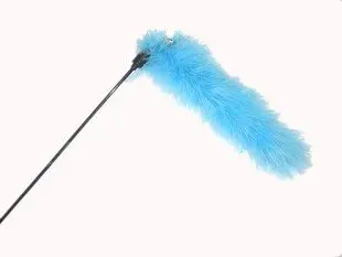 feather stick cat toy