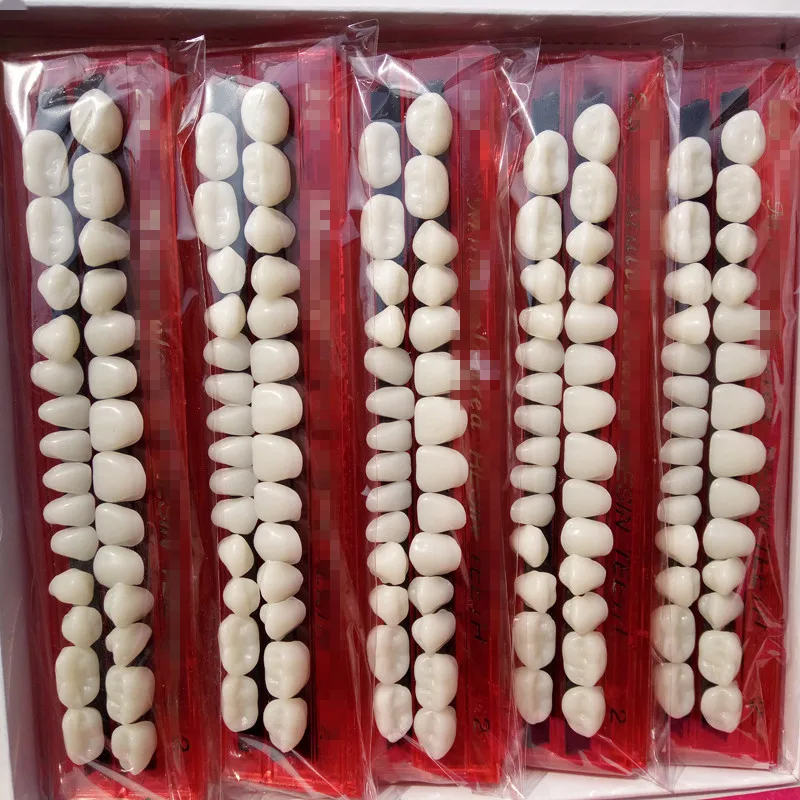 

High Quality 28pcs/set Resin Teeth Model Durable Dental Materials Dentures Colors Tooth Shade Guide Teeth Model Teach